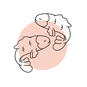 PISCES-ar