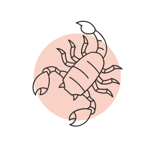 scorpio-ar